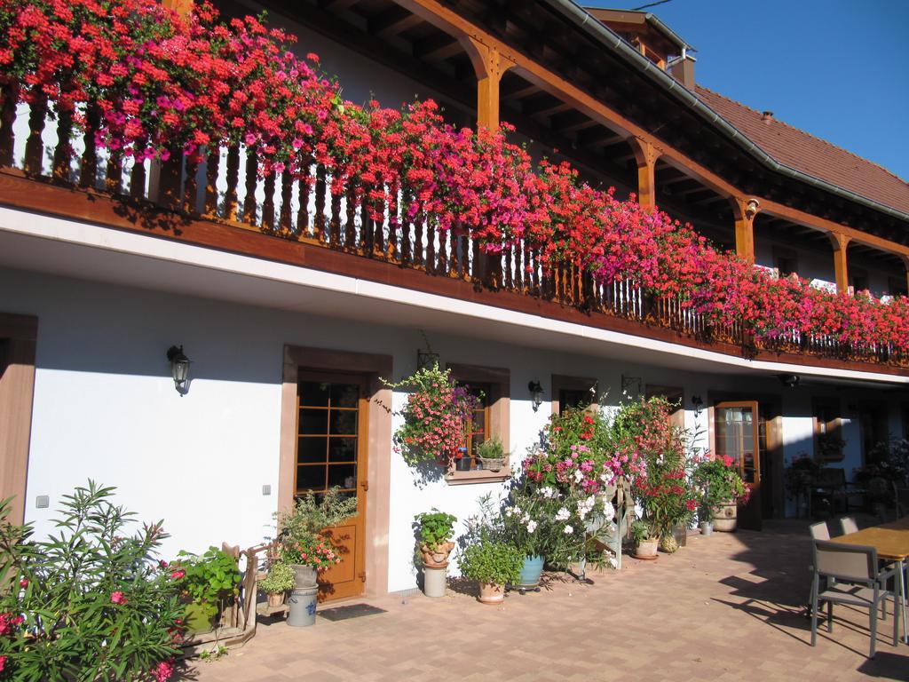 Bed and Breakfast La Ferme De Louise Hohengoeft Zewnętrze zdjęcie