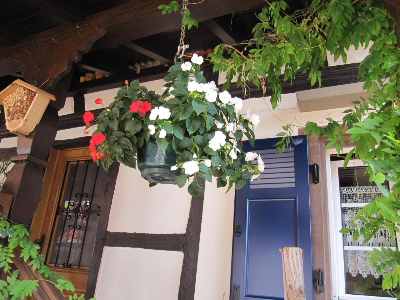 Bed and Breakfast La Ferme De Louise Hohengoeft Zewnętrze zdjęcie