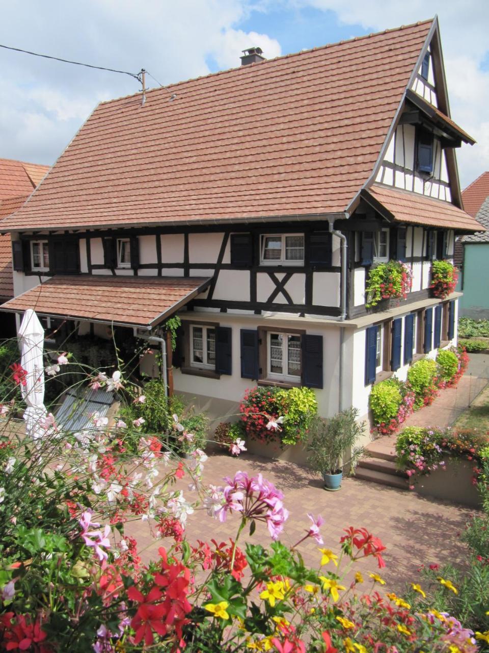 Bed and Breakfast La Ferme De Louise Hohengoeft Zewnętrze zdjęcie